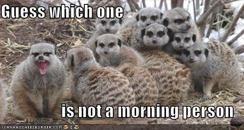 [Image: not-a-morning-person.jpg]